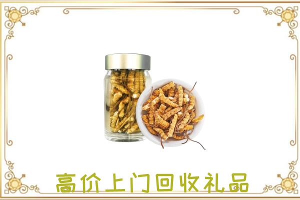 中山周边回收虫草